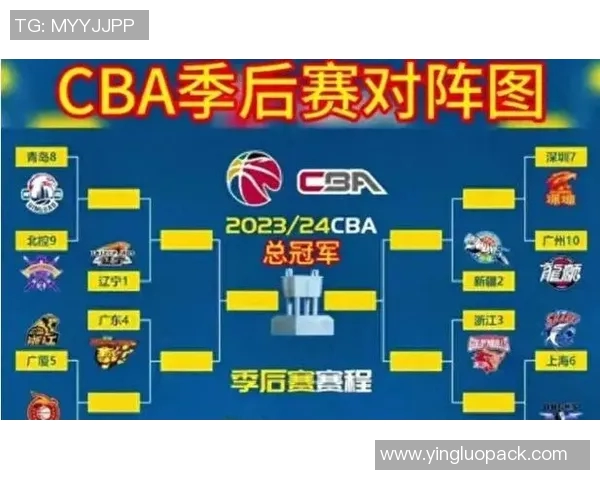 2018年CBA辽宁队对阵广厦队精彩比赛录像回顾与分析