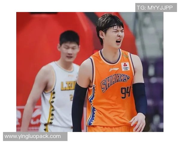 王哲林在CBA赛季中的表现分析与未来发展潜力探讨