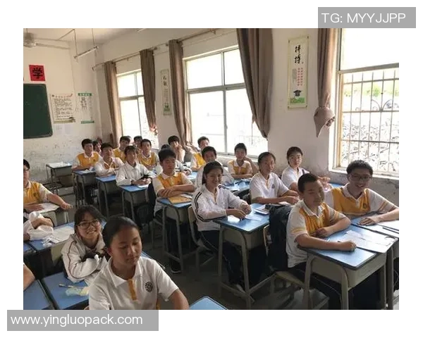 深度对话杨芳分享她的排球人生与奋斗历程的精彩故事